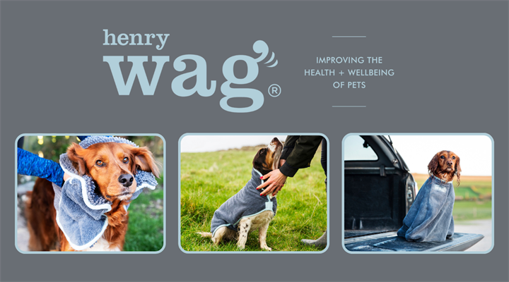 Henry Wag